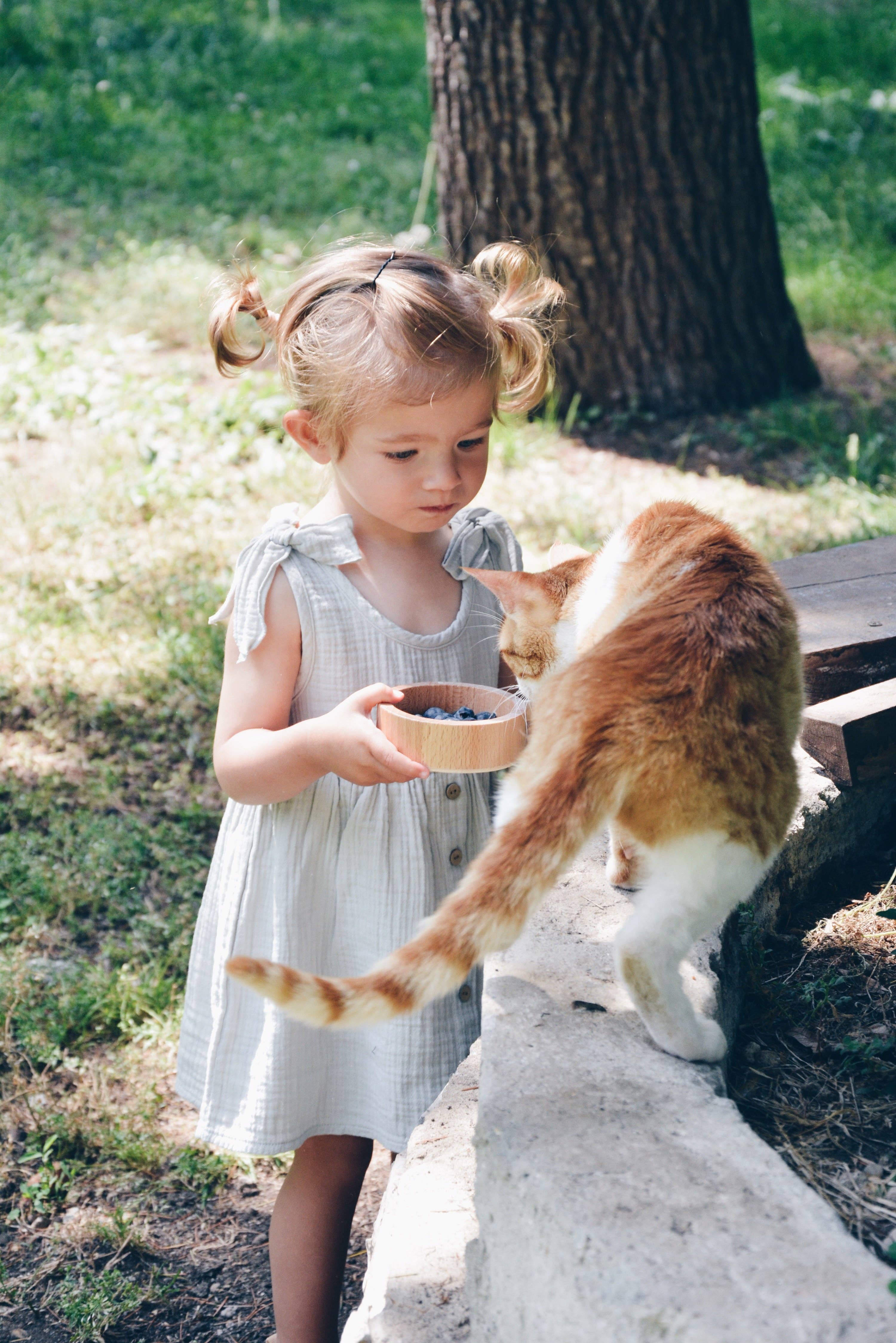 Eli & Nev (we cover U.S. import duties) - Vendita all'ingrosso Vestito - Neonati - Vestito estivo in mussola di cotone 100% verde salvia per bambina5