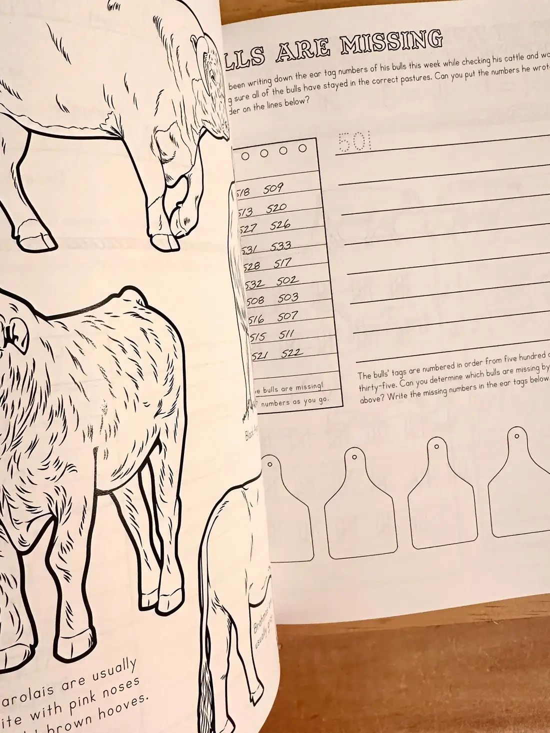 Bored on the Range, LLC - Wholesale Early Reader Book (6-8) - Ranch Math Grade 2: Money, Fractions, and Place Value2