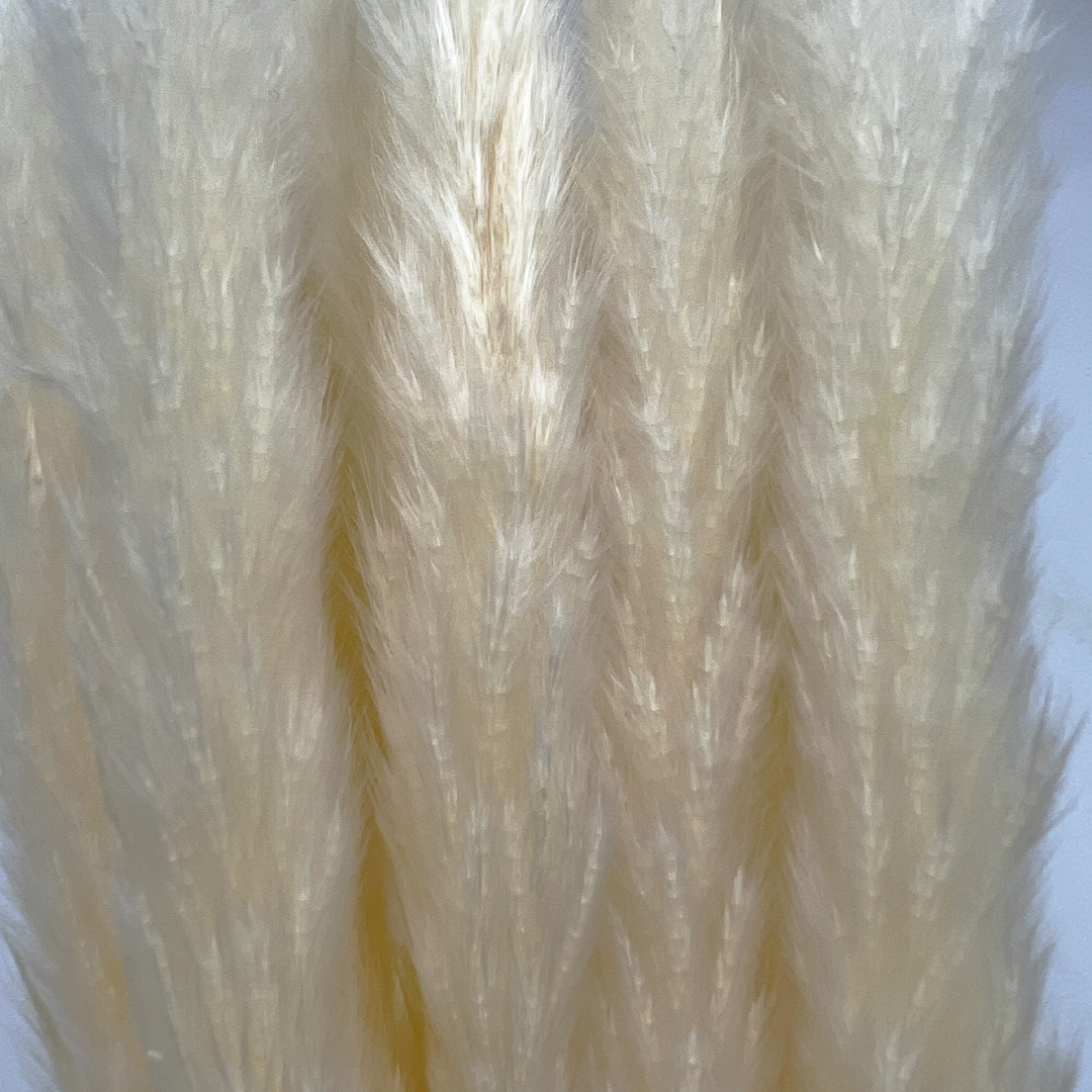 2626 Designs – Engroshandel Tørrede/pressede blomster – Konserverede blomster Lille pampassgræs, 20" langt10