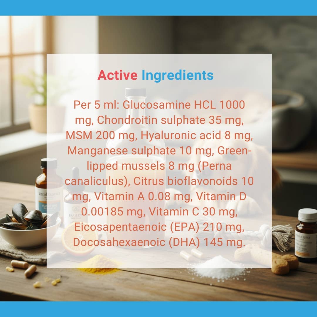 Jojo Modern Pets – Suplemento para animais de estimação – Cão por atacado – UBAVET Joint Power MEG Suporte Articular Líquido para Cães e Gatos6