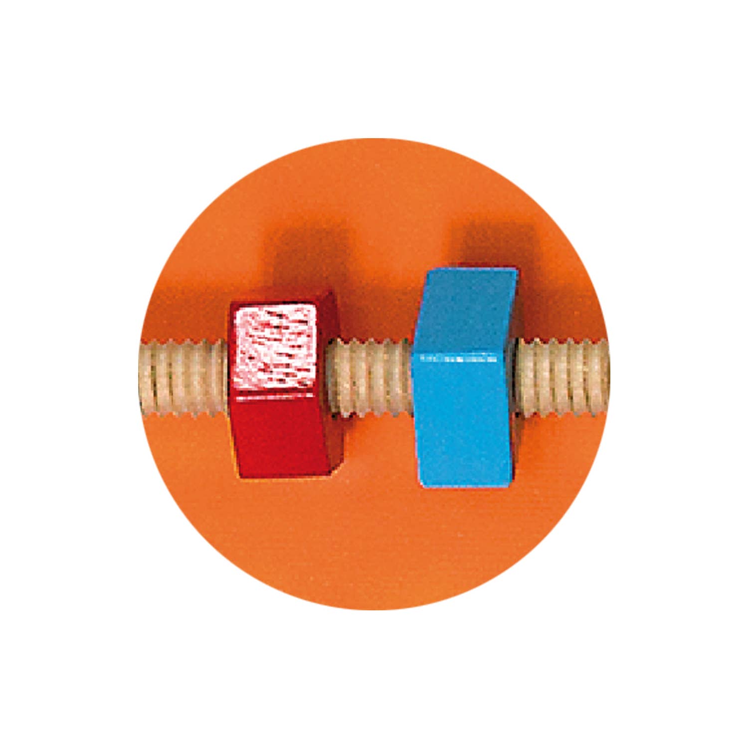 Trade Toys Limited - Wholesale Wall Decor - Kids & Baby - Viga Animal Wall Toys - Bear9