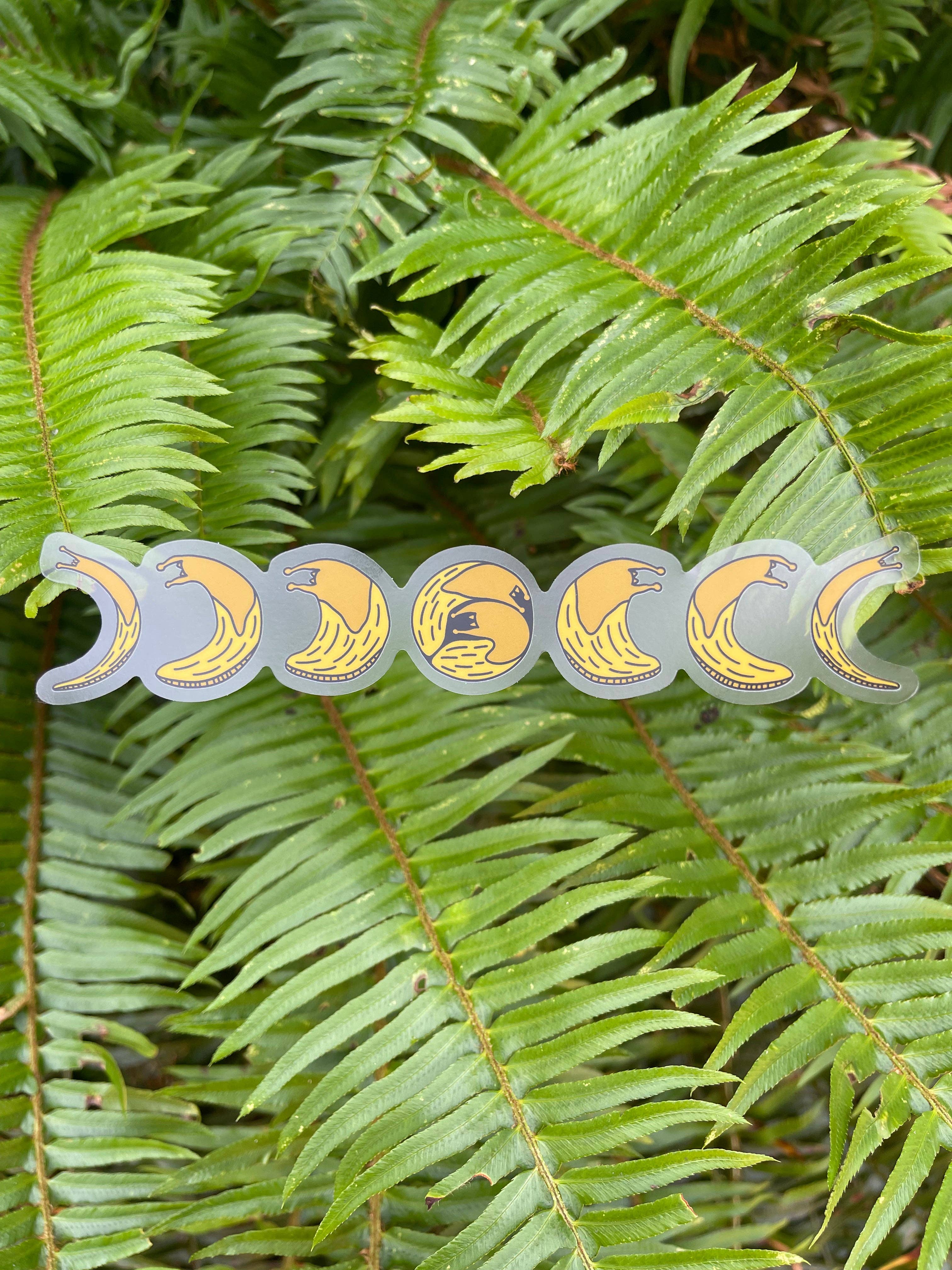 Coastal Haze Designs - Wholesale Sticker - Banana Slug Moon Phase Clear Sticker1