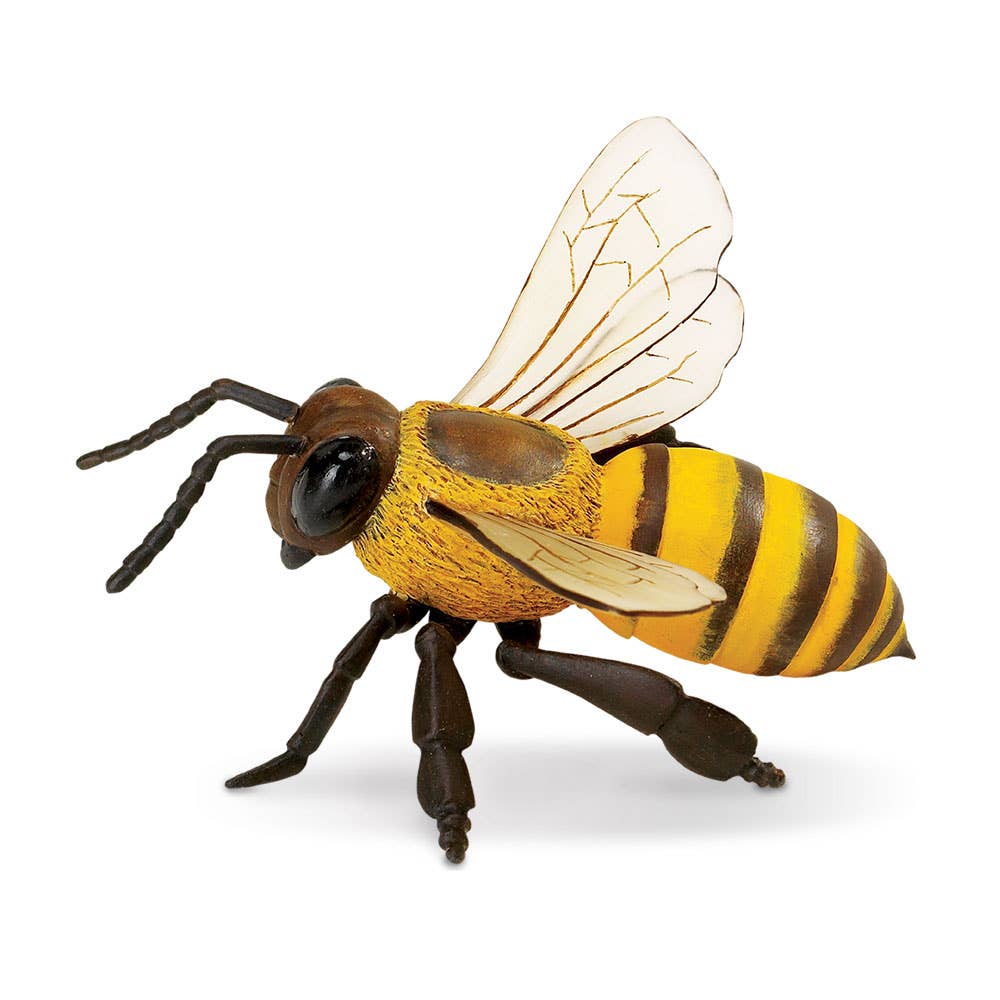Safari Ltd. - Wholesale Decorative Figurine - Honey Bee - 2682293