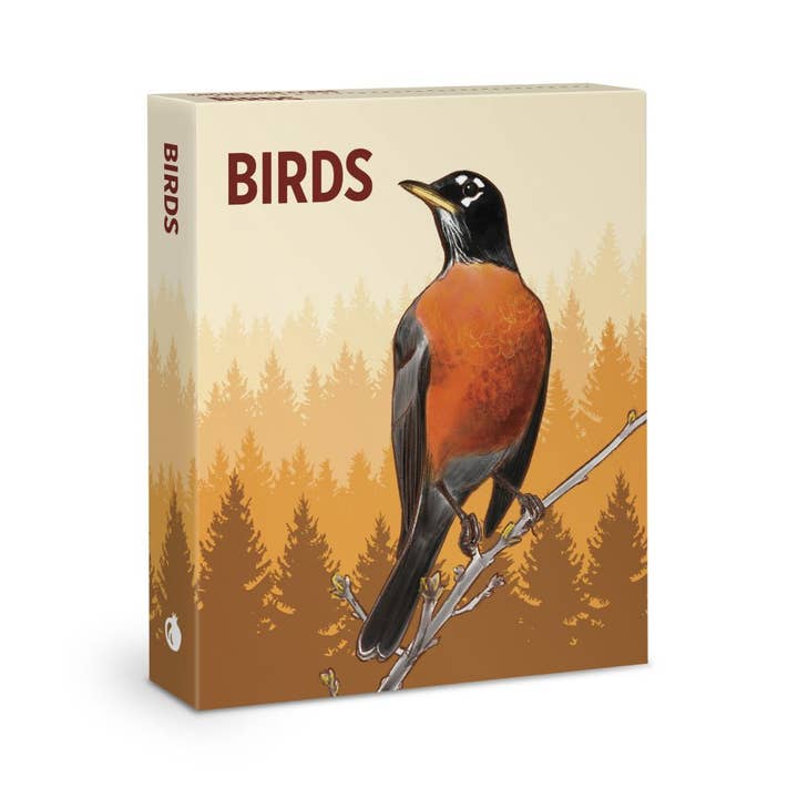 Knowledge Cards-Birds for wholesale by Vevoke