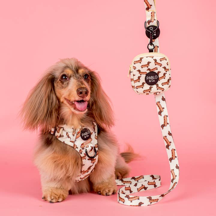 Bassotti: Marsupio per le leccornie per la vendita all'ingrosso da parte di Pablo & Co. Boutique