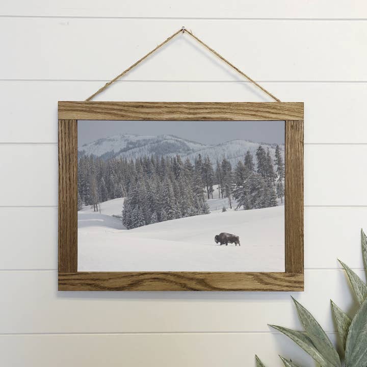 Impressão de arte de parede emoldurada em tela de búfalo nevado por atacado de Hangout Home