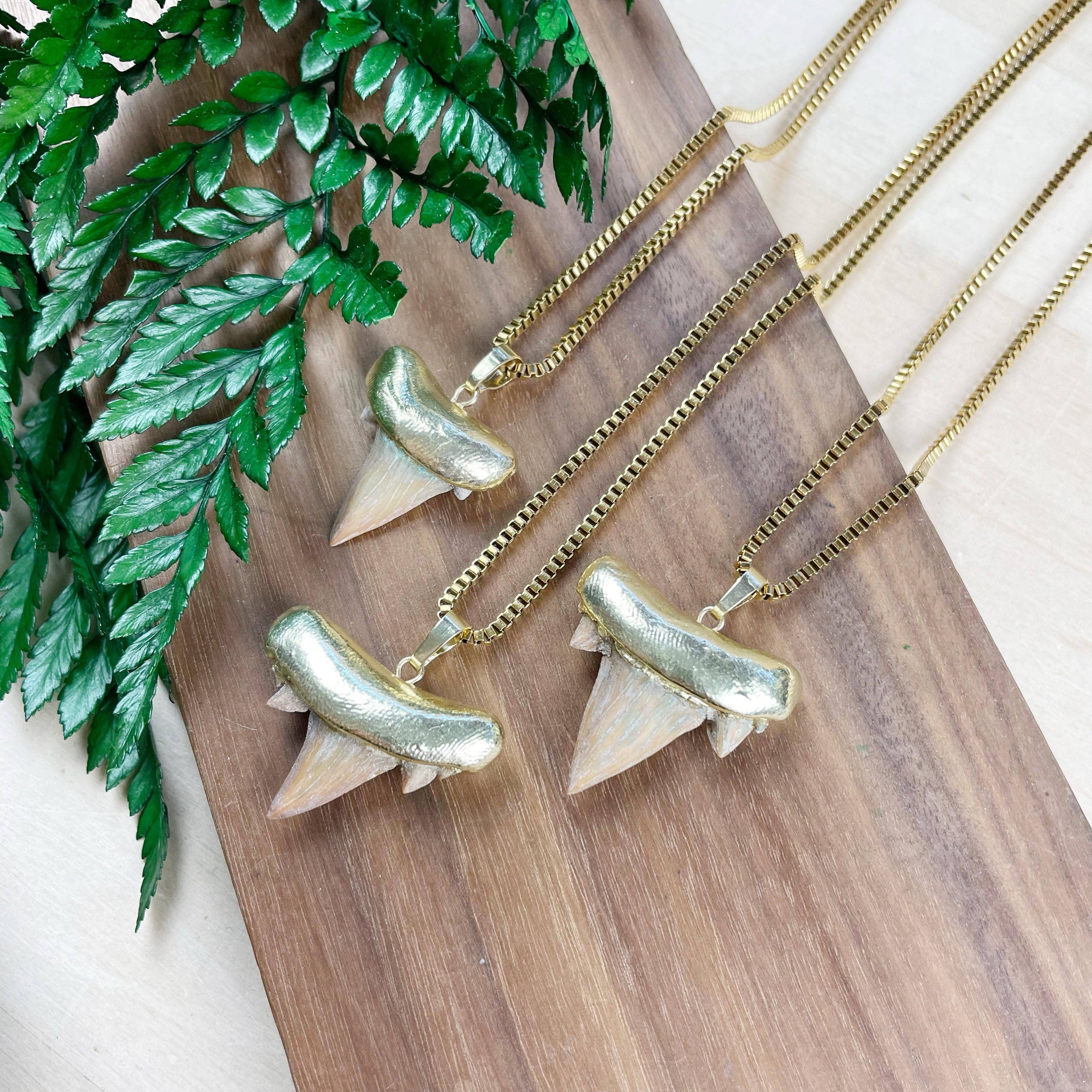 Ewelina Pas Jewelry – Engroshandel Halskæde med vedhæng – Halskæde med guldbelagt hajtand7