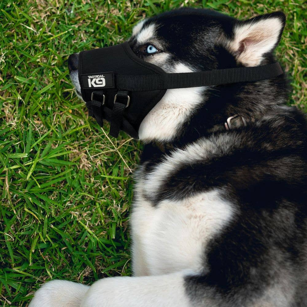 HugglePets - Wholesale Pet Muzzle - HugglePets Tactical K9 Adjustable Comfort Dog Muzzle10