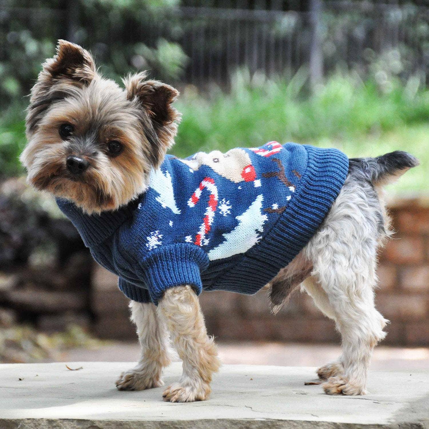 Doggie Design – wholesale Pet jumper – Dog – Combed Cotton Ugly Reindeer Holiday Dog Sweater1