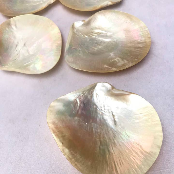 Hala Design - Wholesale Serving Plate - Mother of Pearl Plate & Spoon Caviar Set, Caviar Set5