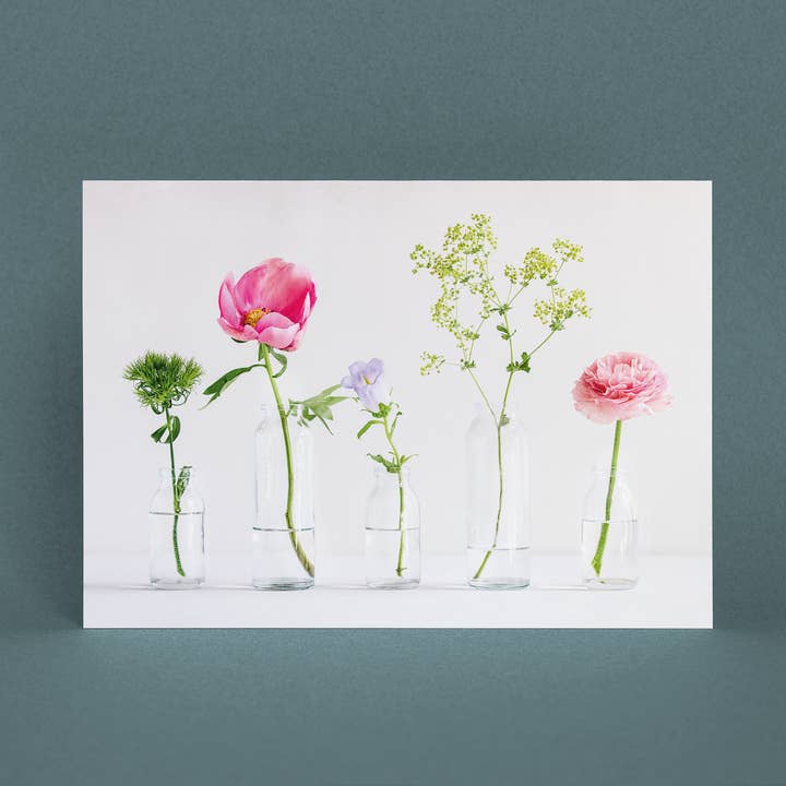 Carte postale fleurs printanières carte de voeux A6 pour la vente par Justepixx