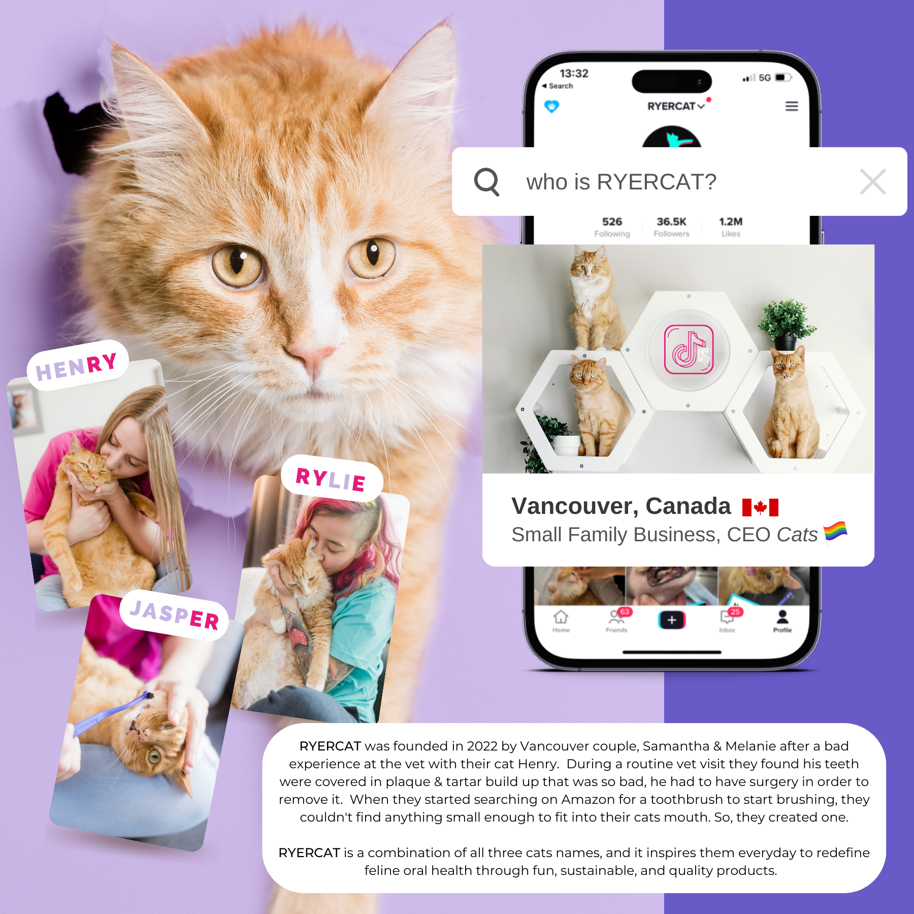 RYERCAT - Wholesale Pet Brush - Cat/Dog - Dual Sided Cat Toothbrush - Mix n' Match Colors!22