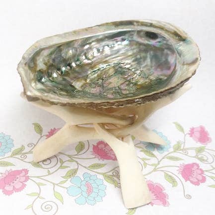 Abalone Shell & Stand for wholesale by Rosie's Market, LLC.