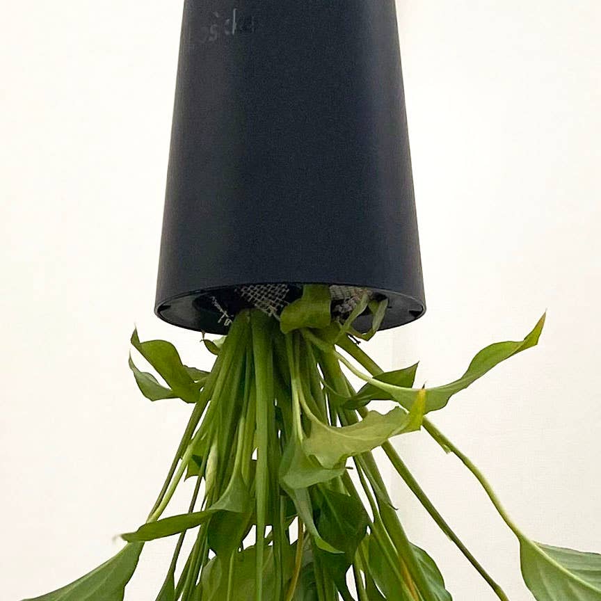 Boskke – Großhandel Pflanzenampel – Boskke Sky Planter Recycled - großer selbstbewässernder Pflanztopf17