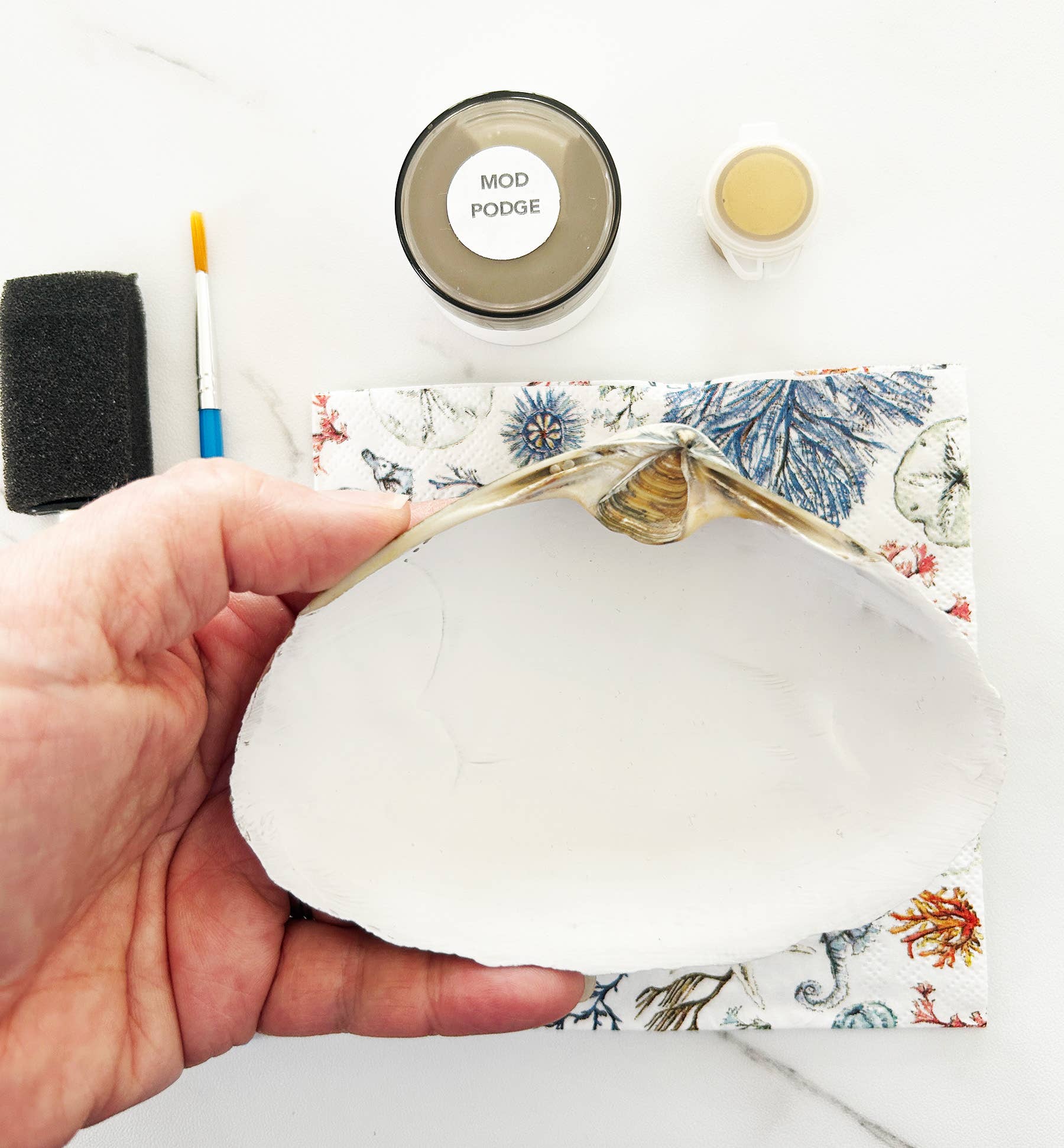 Adori Designs - Wholesale DIY Craft Kit - DIY Clam Shell Ocean Beach Mini Decoupage Kit2