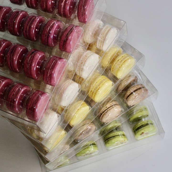Savor Patisserie - Wholesale Cookie - The Classics Collection - (300) Bulk French Macarons6