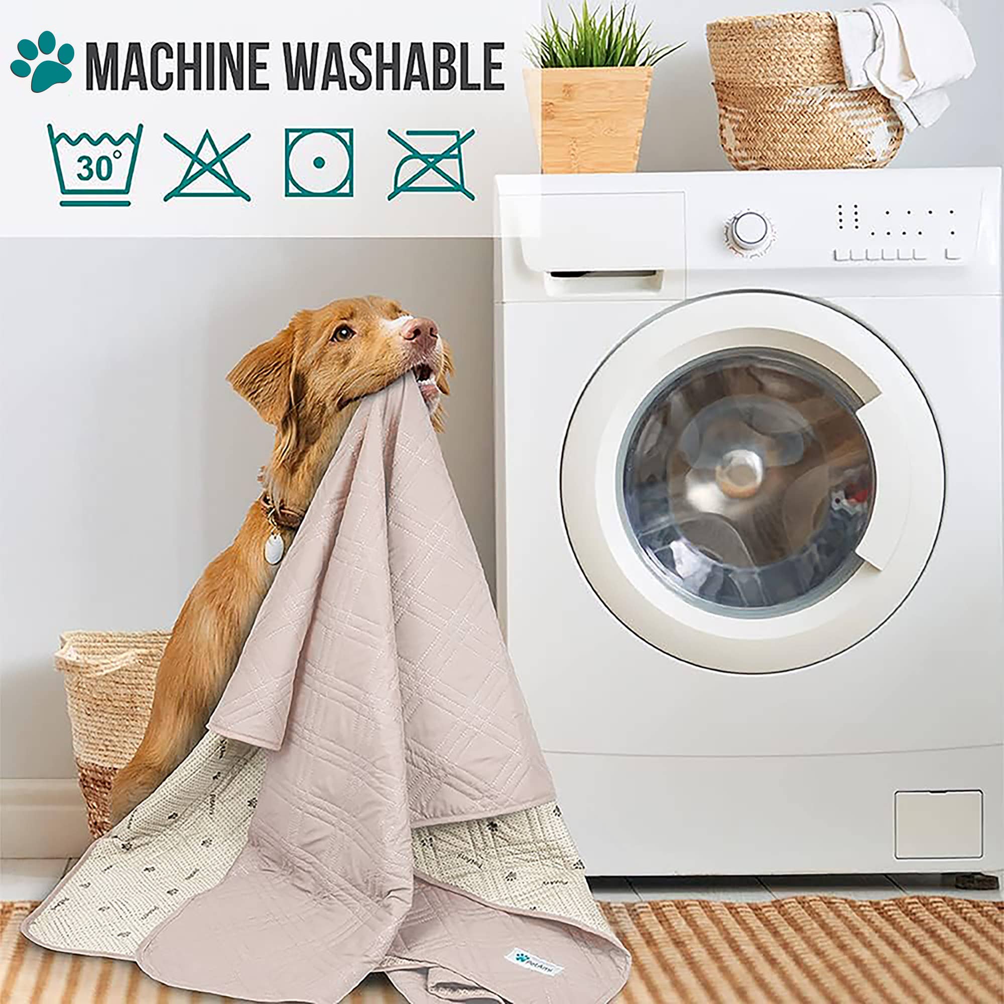 PetAmi - Vente Couverture – chat et chien - Housse de canapé imperméable pour animaux de compagnie5