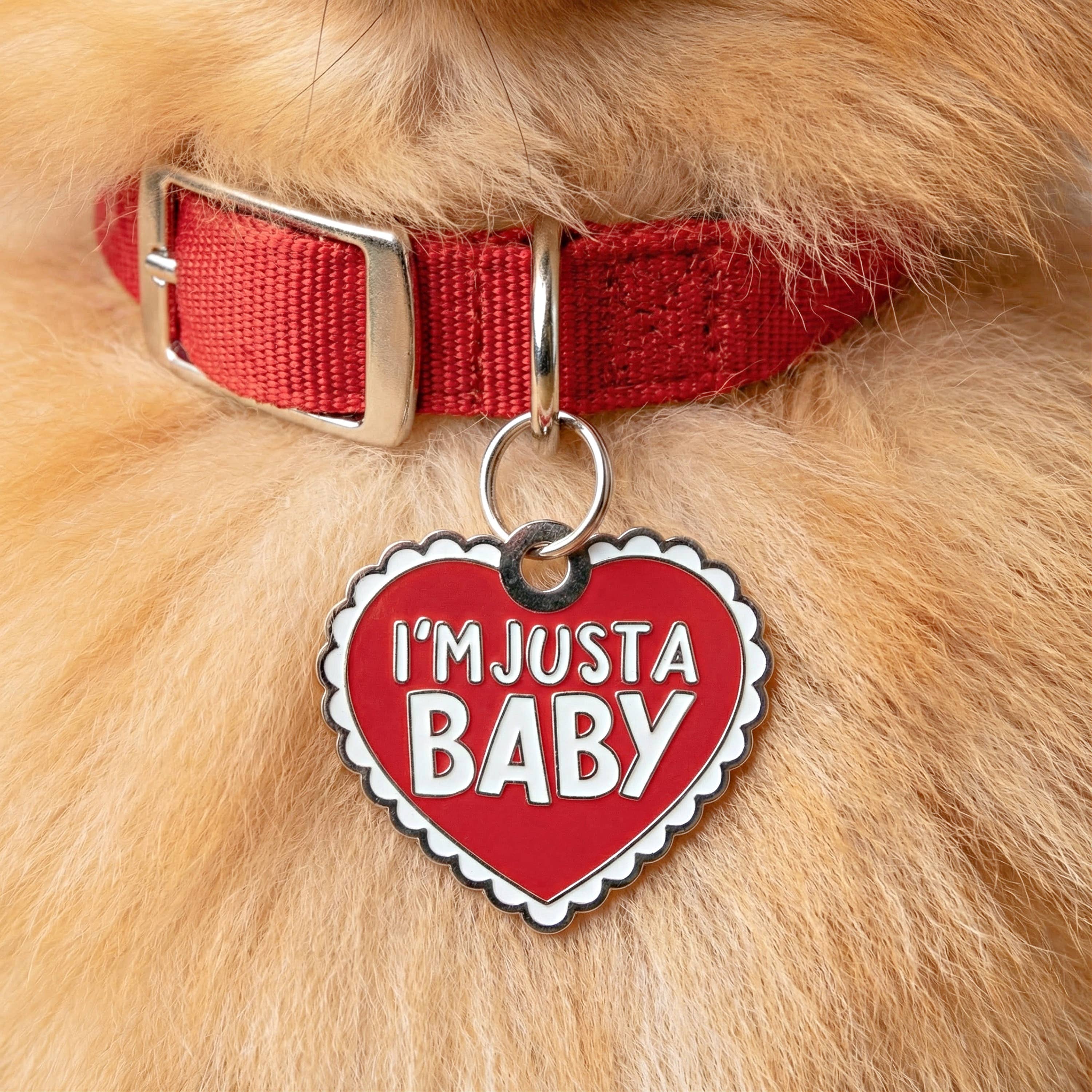 Bad Tags - Wholesale Pet Identification Tag - Cat/Dog - Heart Dog Tag w/Scannable Pet ID - I'm Just a Baby3
