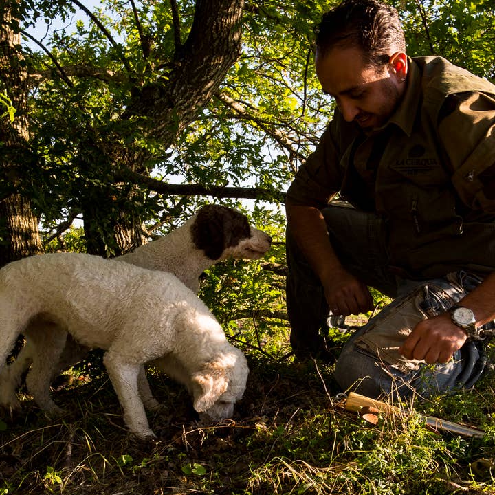 La Cerqua Tartufi - Wholesale Pasta - Instant Polenta with Porcini Mushrooms, 100% Italian, 300 g3