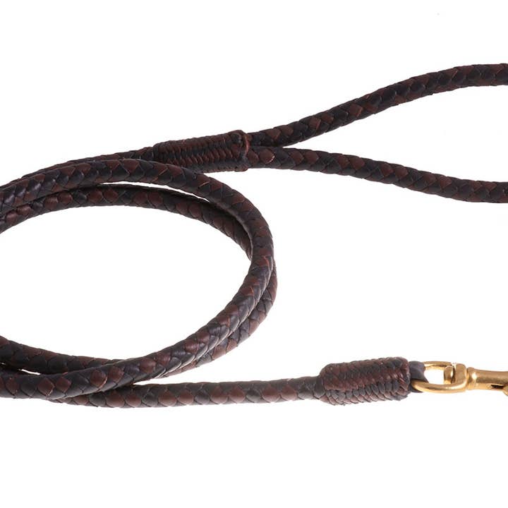 Alvalley - Wholesale Pet Leash - Dog - Braided Leather Snap Leads53
