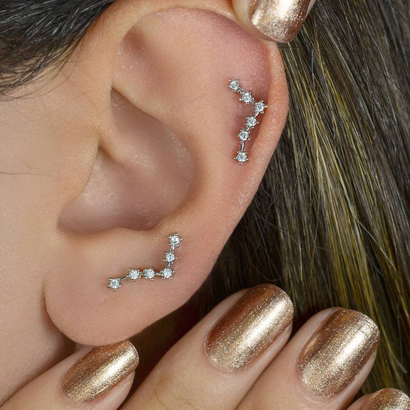 StockJWL - Wholesale Stud/Post Earrings - 12 Zodiac Earrings, Constellation Stud Earring Stud Piercing Tragus Helix Lobe and Cartilage Silver And Gold0