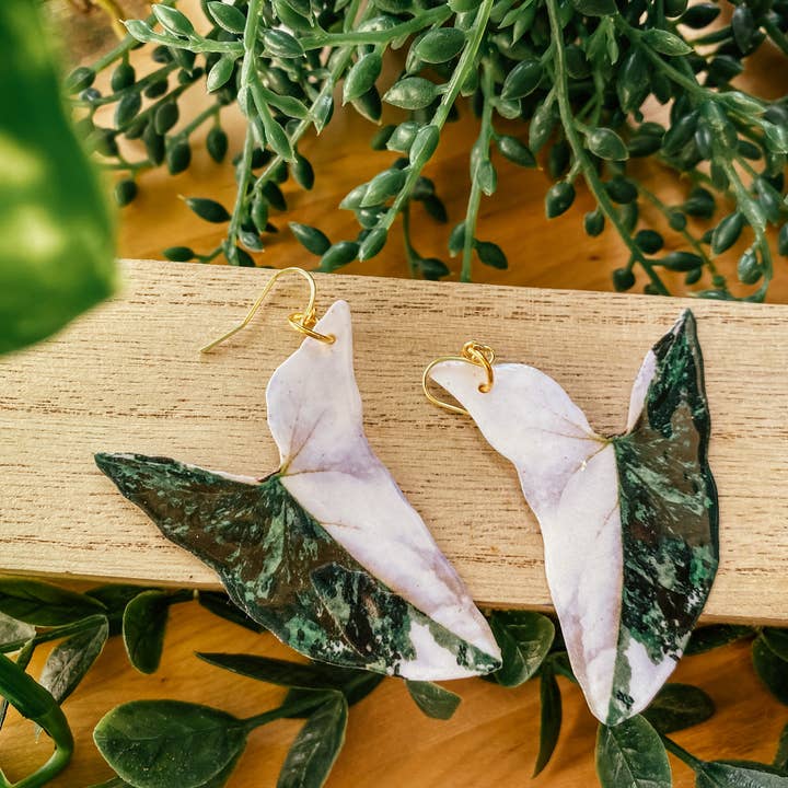 hethr - Wholesale Dangle Earrings - Syngonium Albo Leaf Earring, Magnet, Pin, Decor, Jewelry1