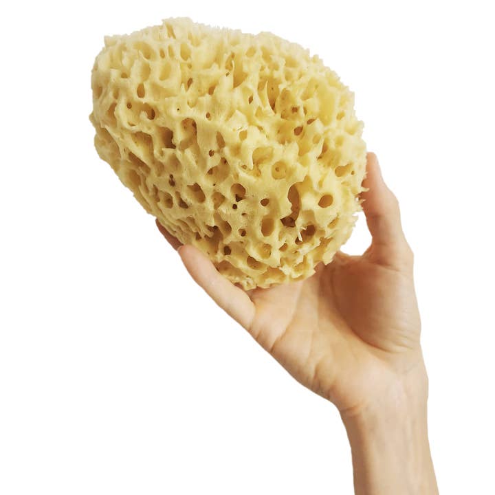 Skärgårdsblekt natursvamp XXL BODY - 14/16 gr för wholesale av Cose Della Natura