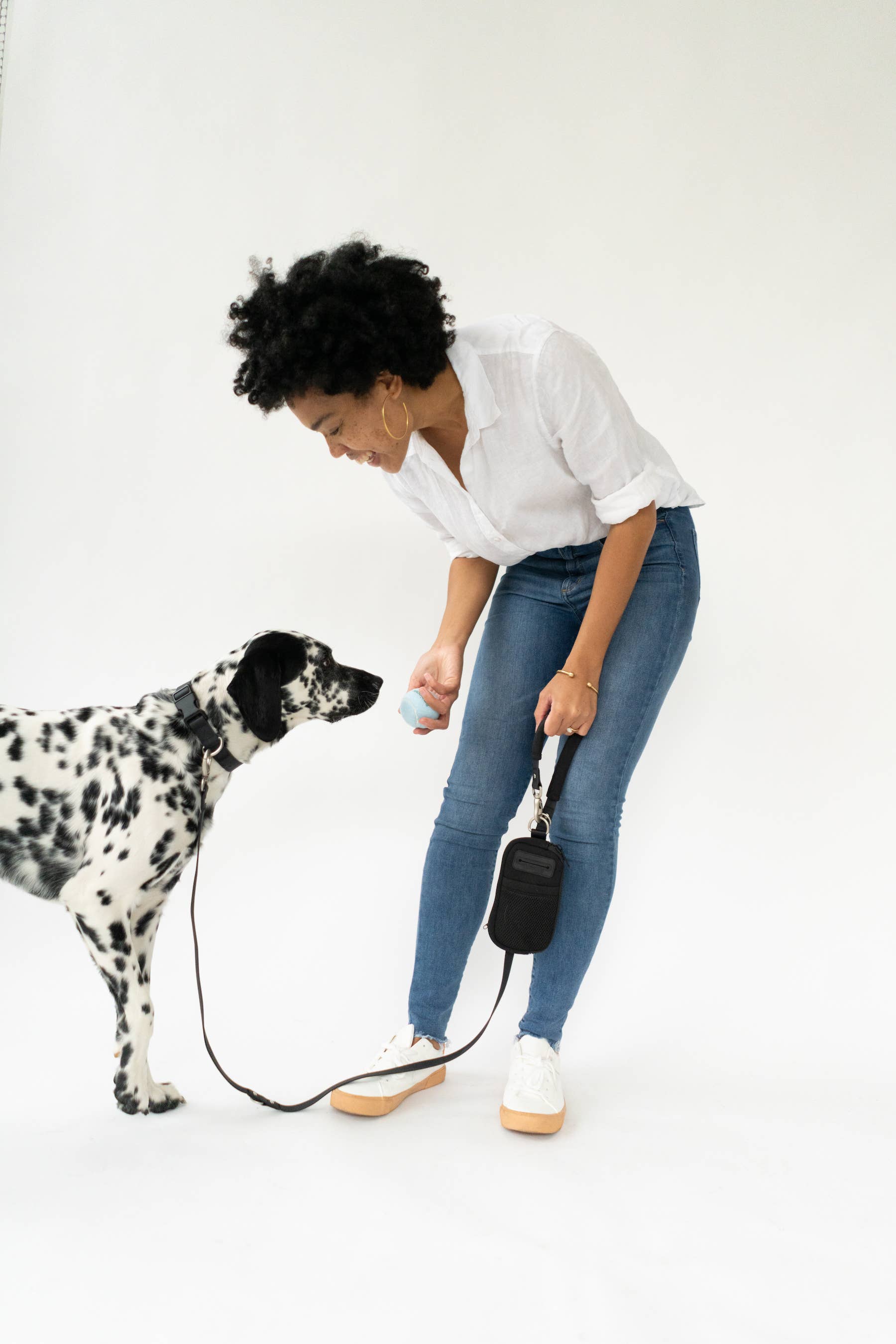 Springland Pets – Großhandel Leine – Hund – Dog Walk Bag mit Leine – praktische Hundespaziergang-Lösung (4er-Set, gemischt)8