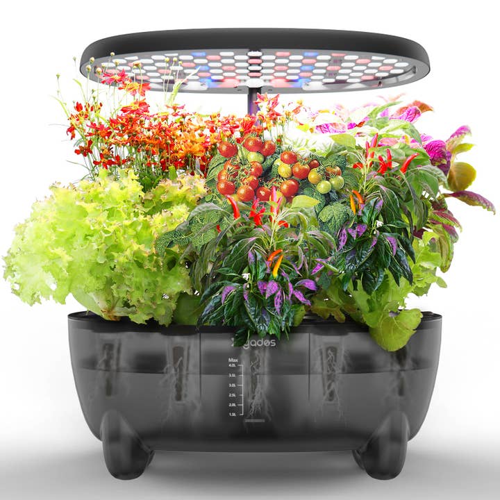 Kit de Jardin d'Herbes Intérieur DRYADES, Système de Culture Hydroponique avec Éclairage LED et Pompe à Eau Silencieuse pour Herbes Fraîches et Légumes Sains à la Maison, Cuisine, Bureau, Idées Cadeaux pour Femmes Hommes -Z237 pour la vente par Dryades