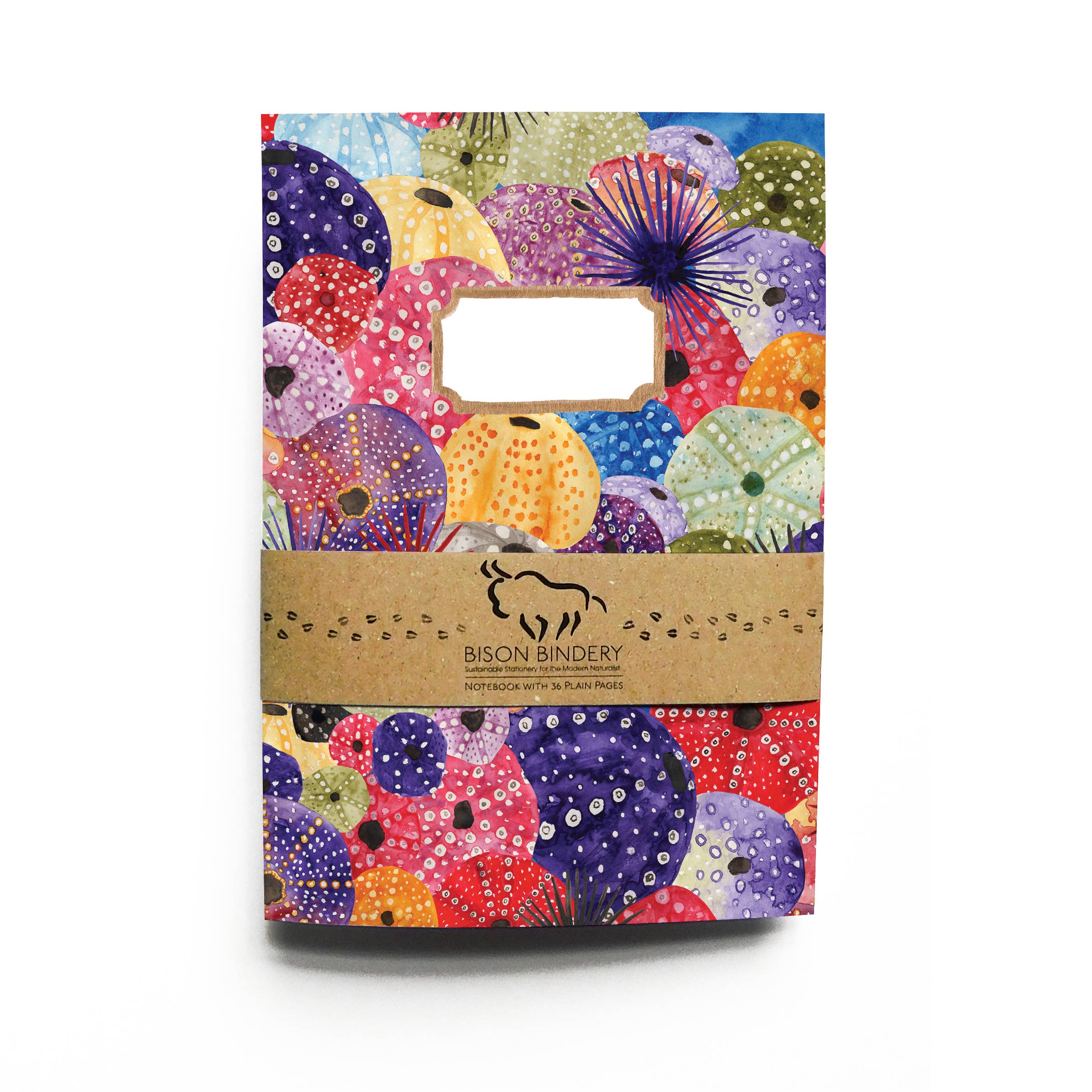 Bison Bindery – wholesale Notebook – Echinozoa Sea Urchin A5 Recycled Notebook - 36 Plain Pages3