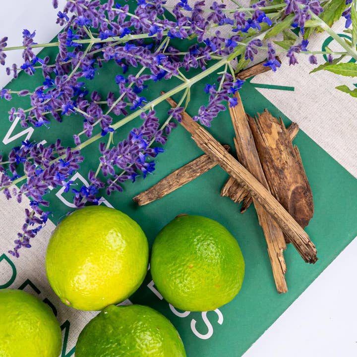 OLOR - Wholesale Reed Diffuser - Cedar, Lime + Lavender Mini Reed Diffuser1