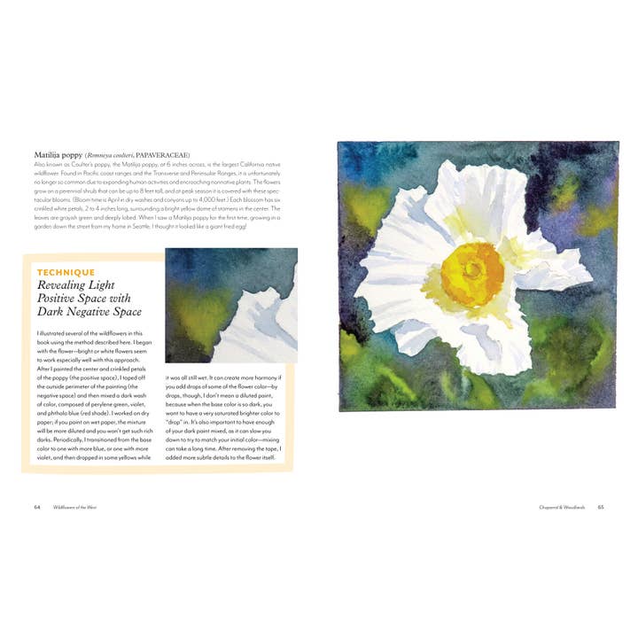 Mountaineers Books - Wholesale Nature & Outdoors - Wildflowers of the West5