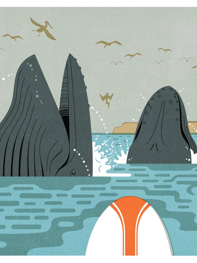 Humpbacks Card for wholesale by Artisans & agency