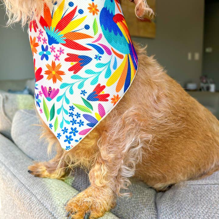 BLUE FEATHER SHOP - Wholesale Pet Bandana - Dog - Handmade Dog Bandana From Mexican Fabric. Butterfly design