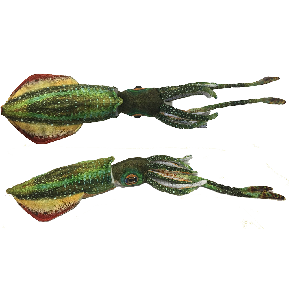 Texas Toy Distribution – Engroshandel Plyslegetøj - Børn og baby – Blæksprutte 16" Blæksprutte Akvatisk Plys Legetøj Havdyr3