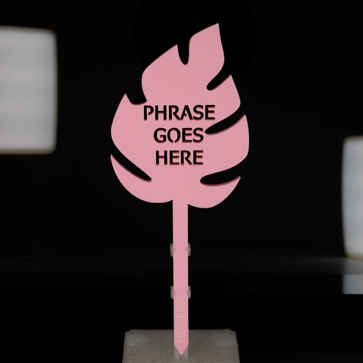 Honeys Plant Climbers - Wholesale Garden/lawn stake - Plant Stake - In My Plant Era Collection2