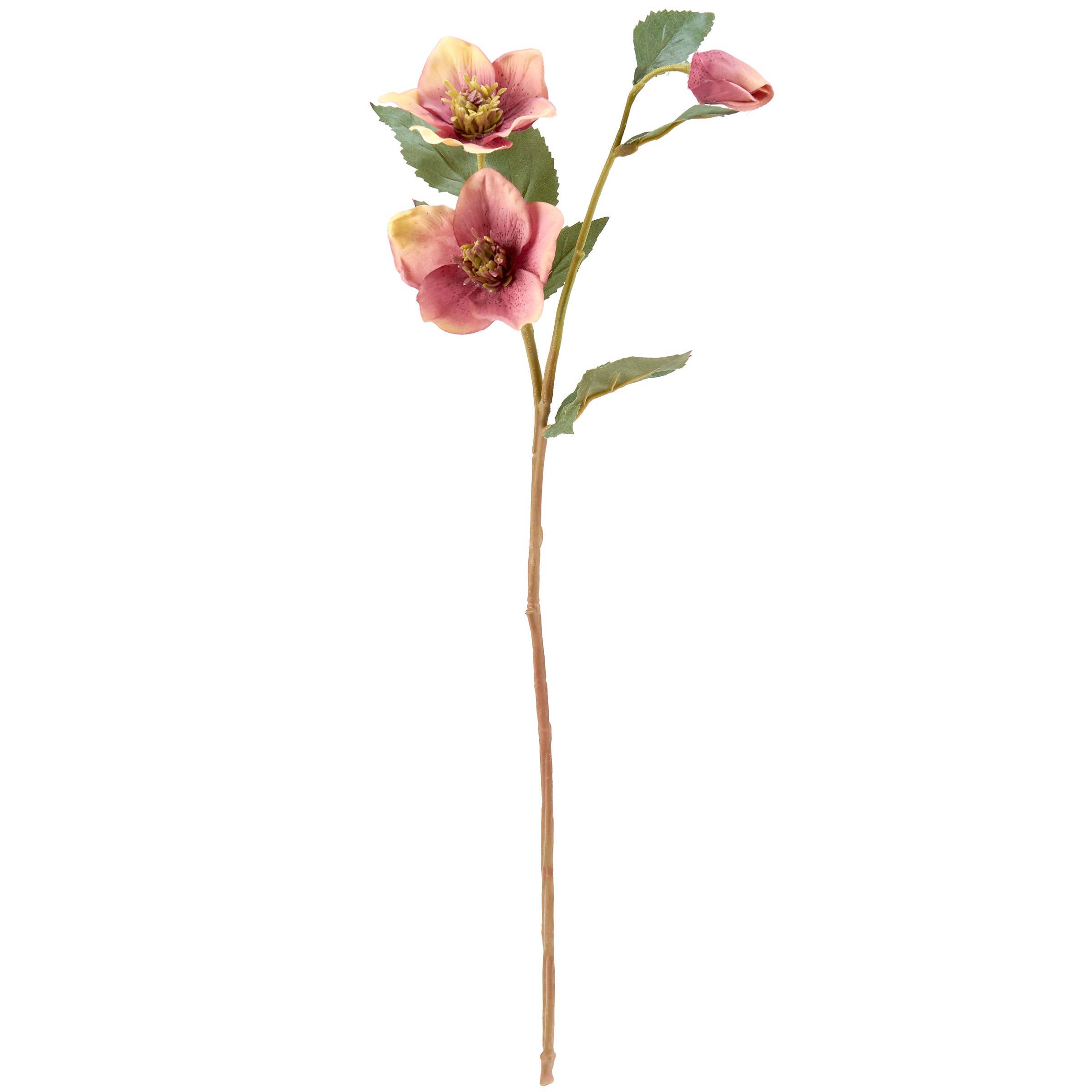 Primitives by Kathy - Wholesale Artificial Flowers - Pink Hellebore Floral Pick1