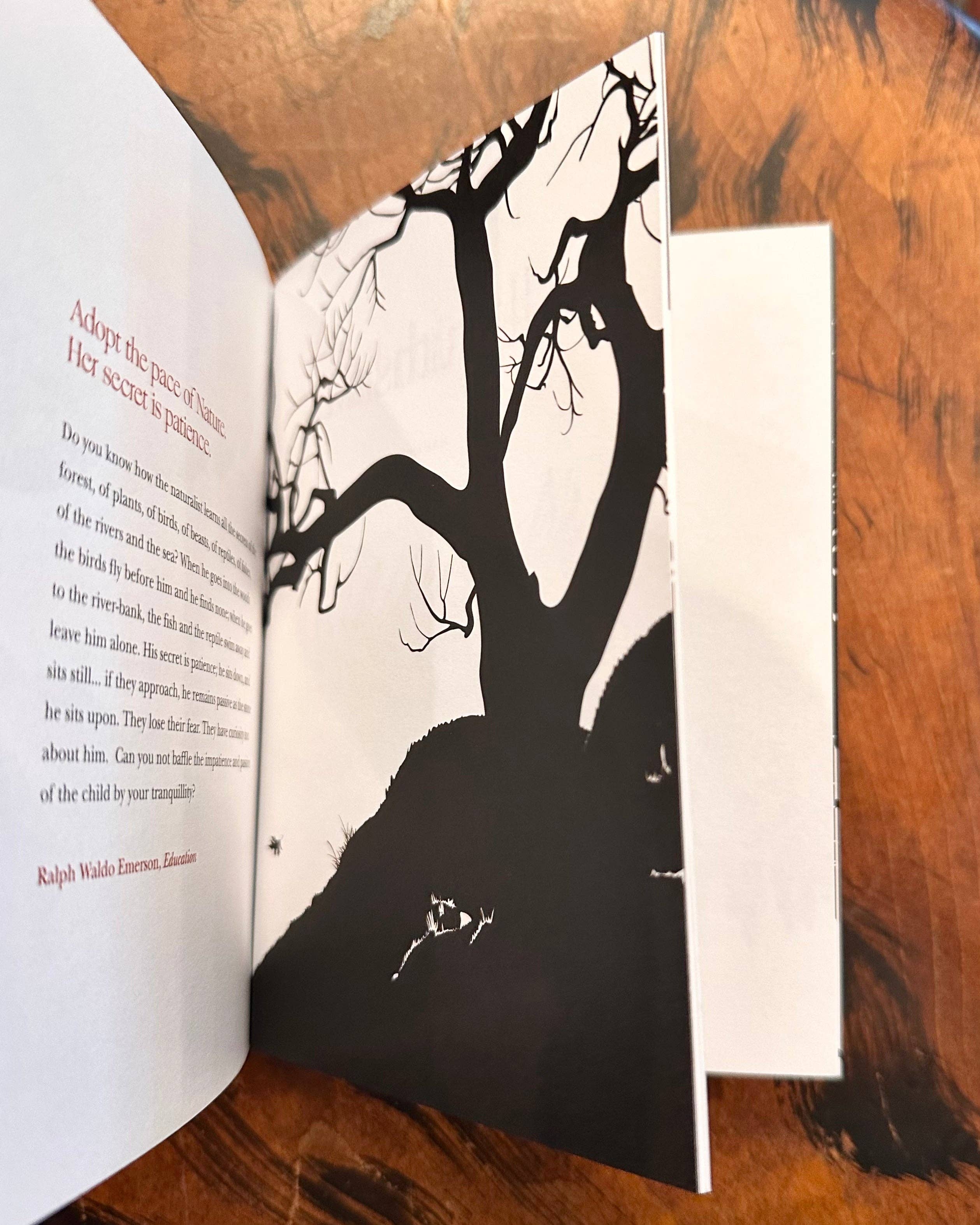 Obvious State - Wholesale Poetry & Drama - On Nature: Collected Works5