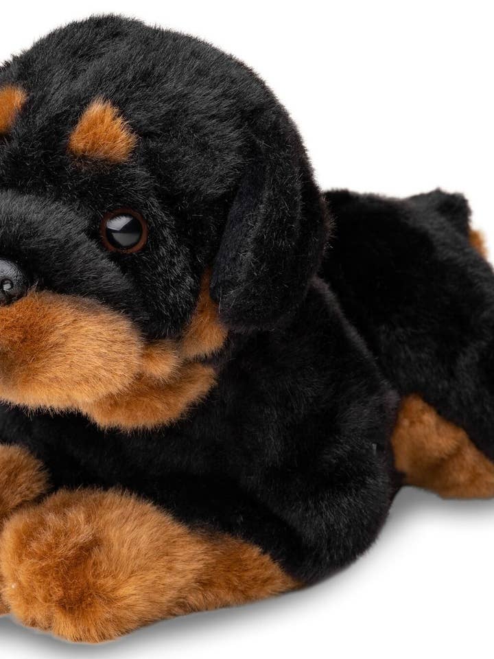 Rottweiler couché - 30 cm (longueur) - doudin/peluche pour la vente par Uni Toys