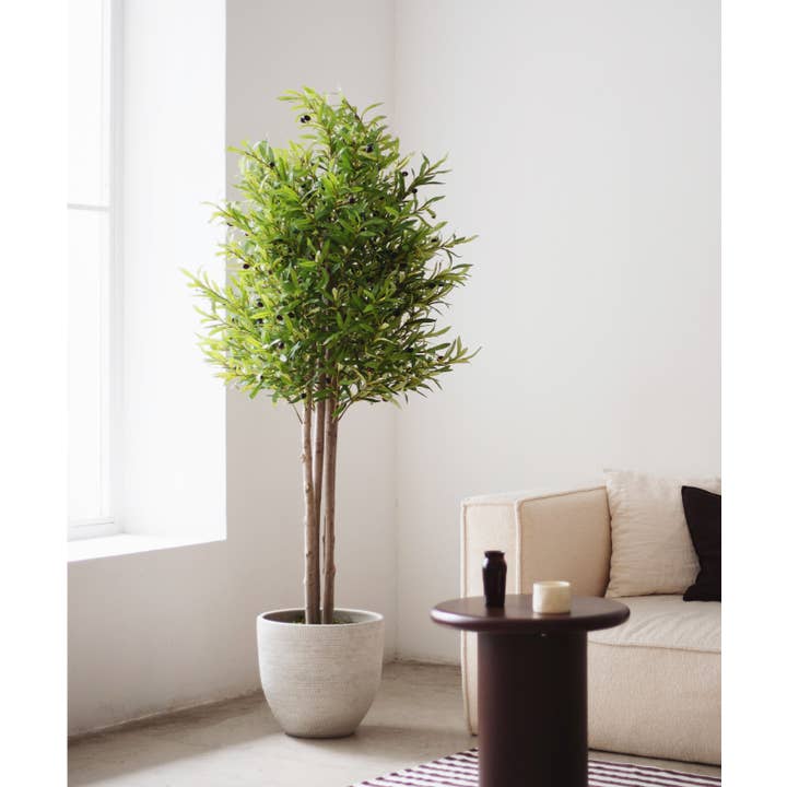 Maia Shop - Wholesale Artificial Plant - Artificial Olive Tree 185 cm