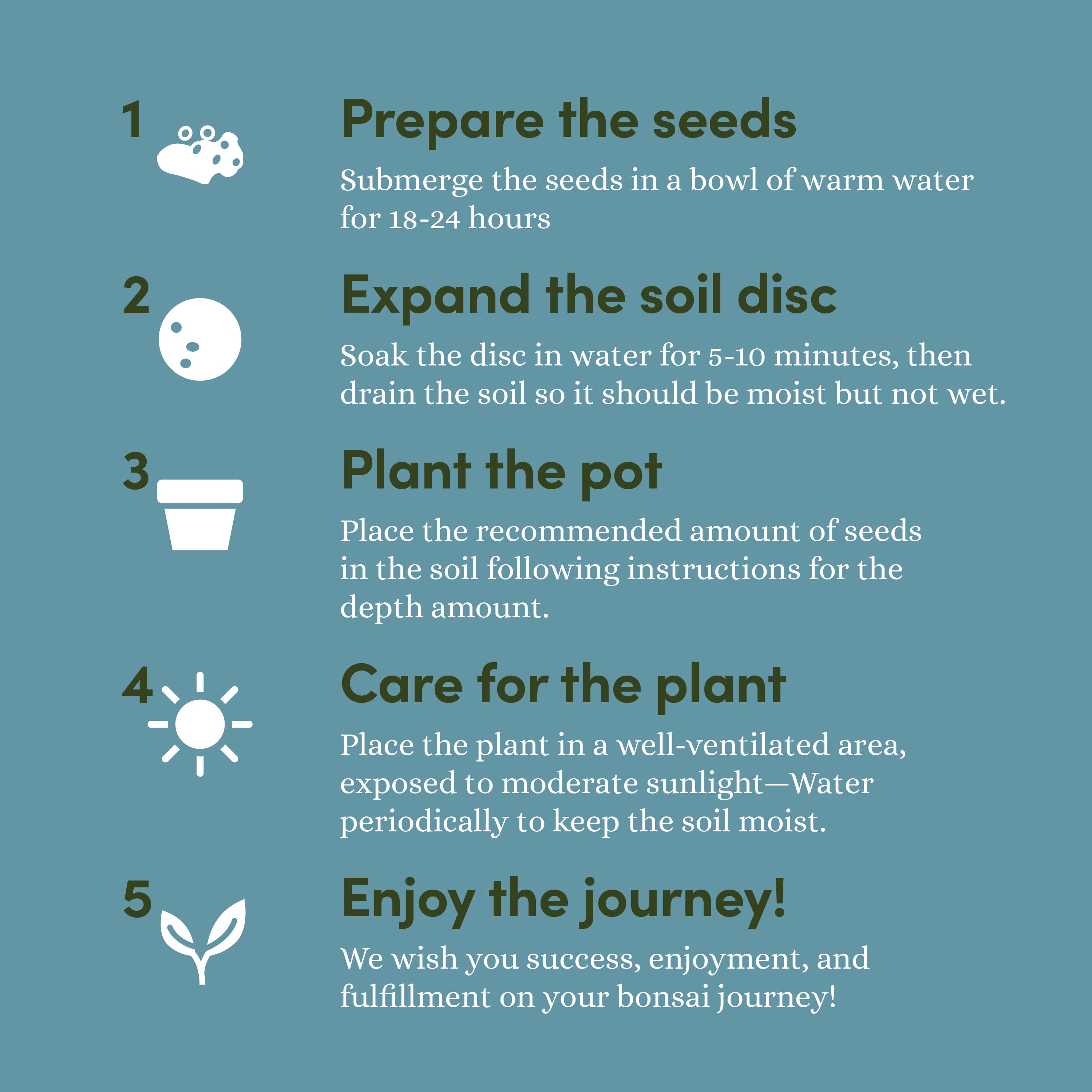 Planter's Choice - Wholesale DIY Craft Kit - Bonsai Growing Kit6