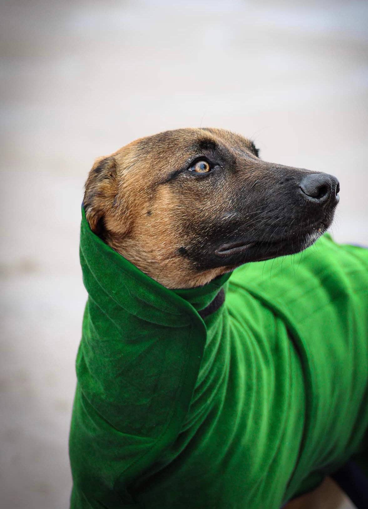 Jaegr l DOGWEAR – wholesale Pet towel –Dog – Jaegr Drying Towel1