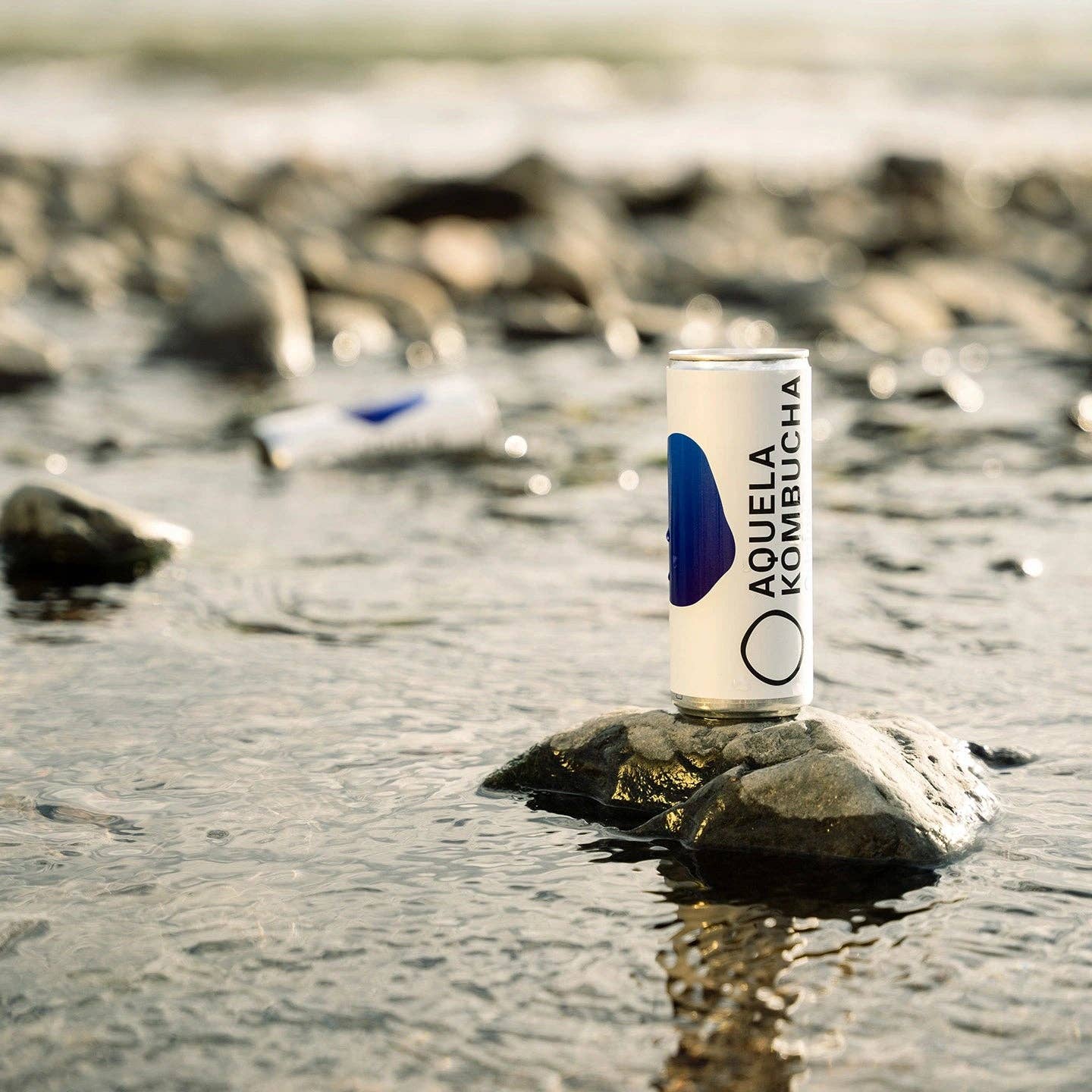 Geocakes - Wholesale Kombucha - That Organic Original Kombucha - 250ml Can2