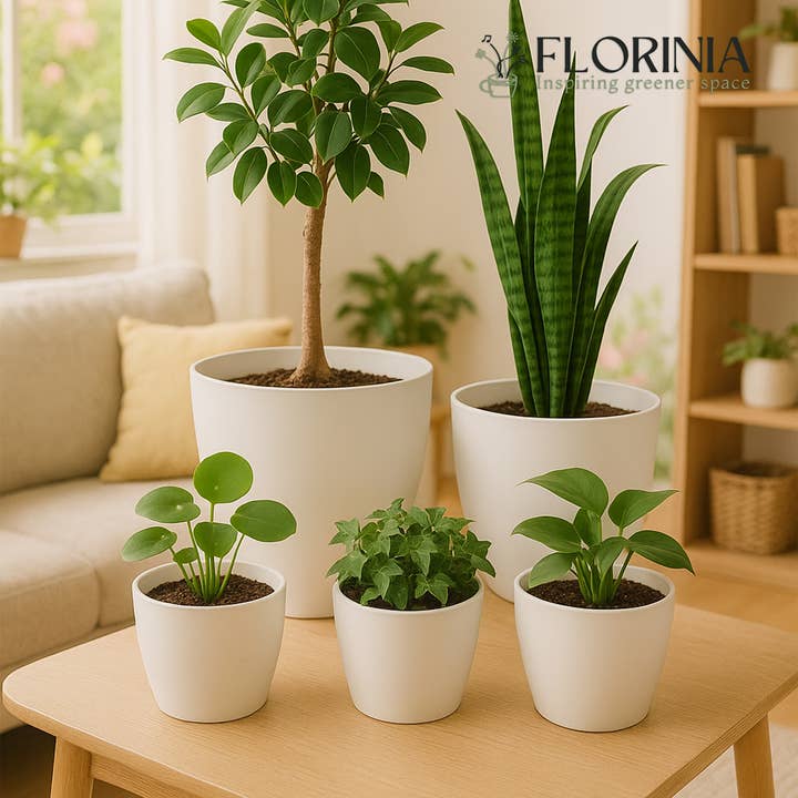 5-Piece White Plastic Planter Pot Set – Modern Round Design for wholesale by Florinia