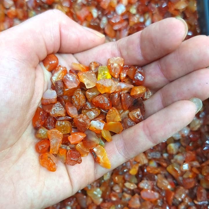 The Psychic Tree – wholesale Reed diffuser – Pine Tree Fragrance Crystal Reed Diffuser5