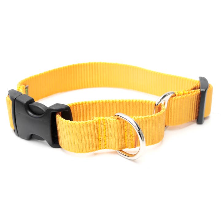 Mimi Green - Wholesale Pet collar – Dog - Nylon Martingale Loop Dog Collars Quick Release Buckle6