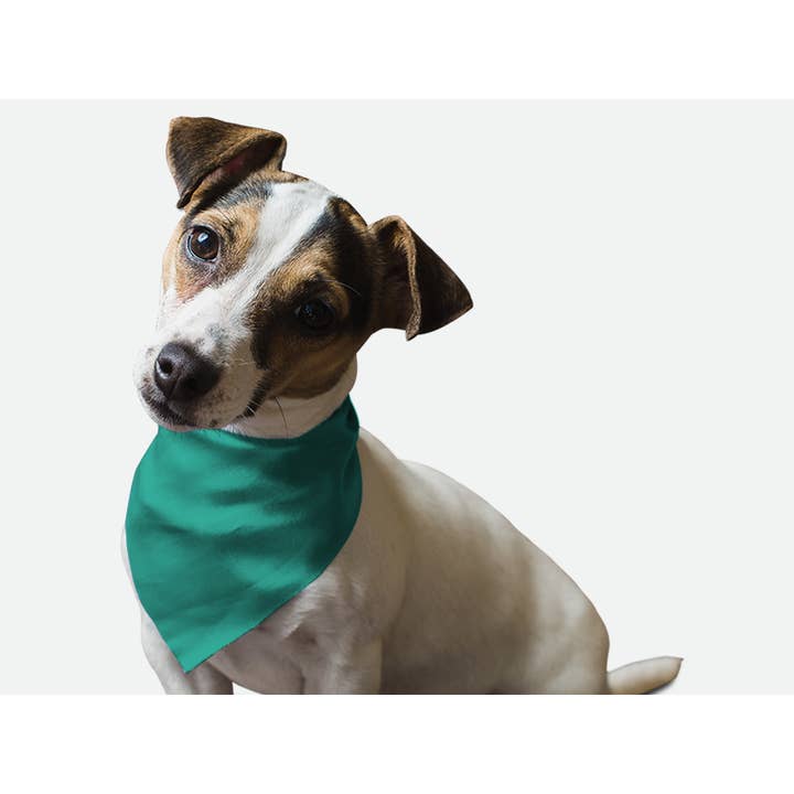 Bandoggies Breeze Pet Bandana - Large Seriously Sea Foam for wholesale by Bandoggies
