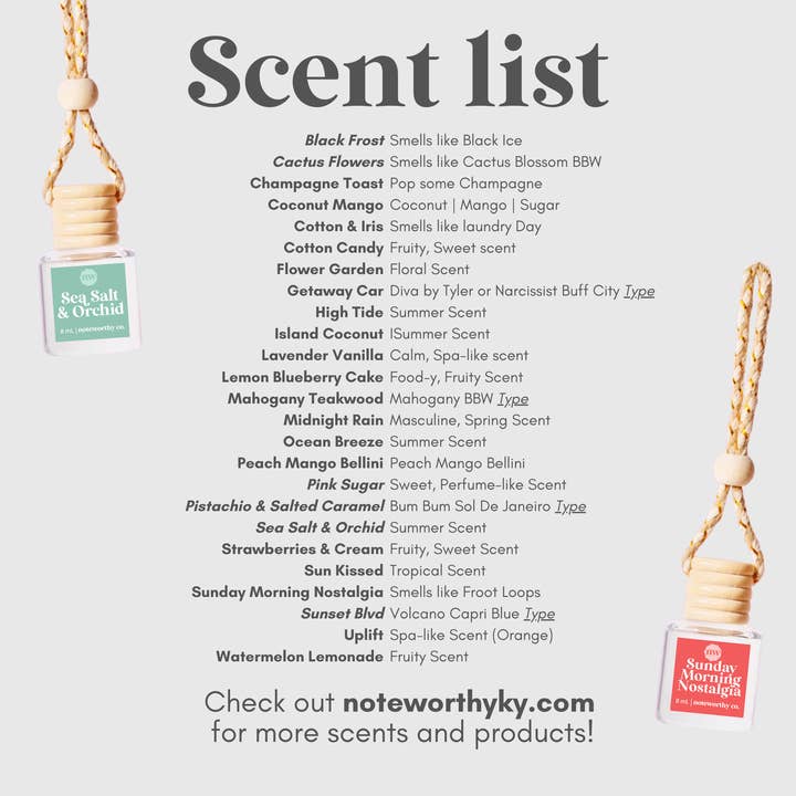 Noteworthy Co - Wholesale Car Freshener - Unisex - Car Diffusers | Core Scents3