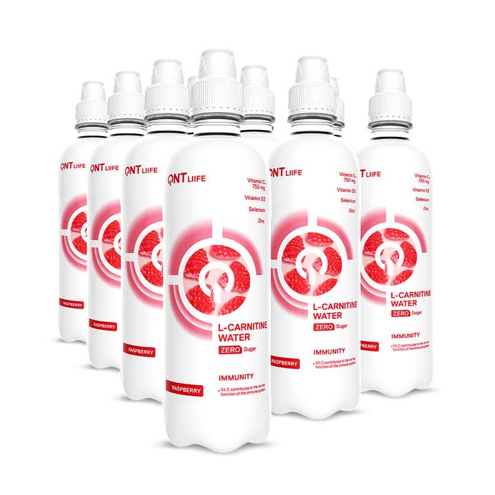 L-Carnitine ZERO Drank - Framboos 500ml voor wholesale door Gudis