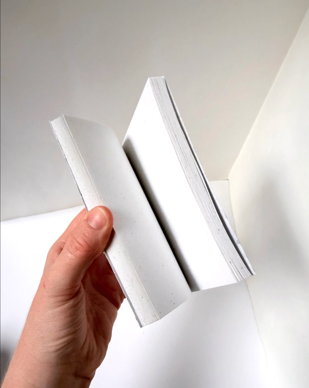 Atelier By Cat - Wholesale Notebook - mini Seed Paper Notebook Eco-Friendly Paper Goods, Plantable15